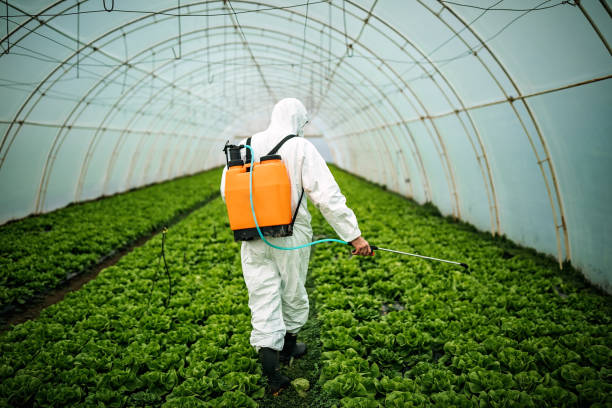 Best Pest Inspection Near Me  in Jefferson, TX