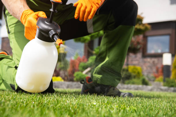 Best Ant Control Services  in Jefferson, TX