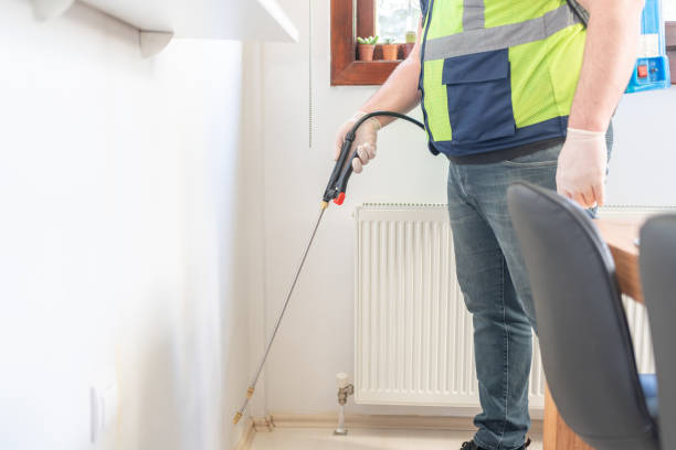 Best Mosquito Control Services  in Jefferson, TX