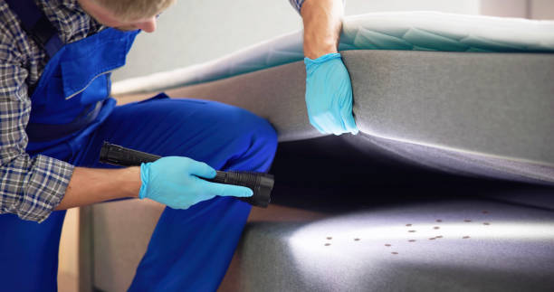 Best Best Pest Control Companies  in Jefferson, TX