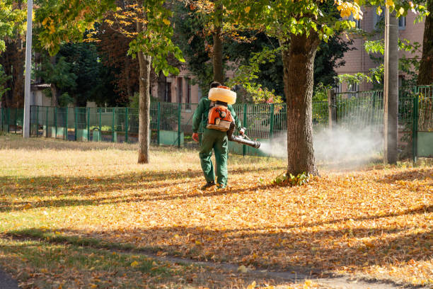 Best Emergency Pest Control  in Jefferson, TX