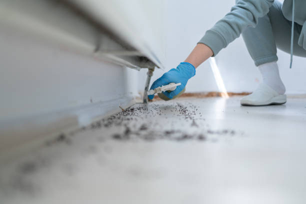 Best Rodent Control Near Me  in Jefferson, TX