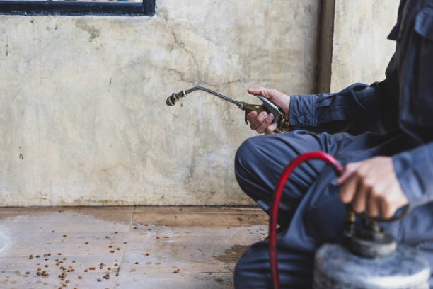 Best Local Pest Control Services  in Jefferson, TX