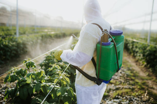 Reliable Jefferson, TX Pest Control Solutions